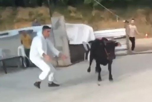 Qurbanlıqların maraqlı görüntüləri - FOTOLAR