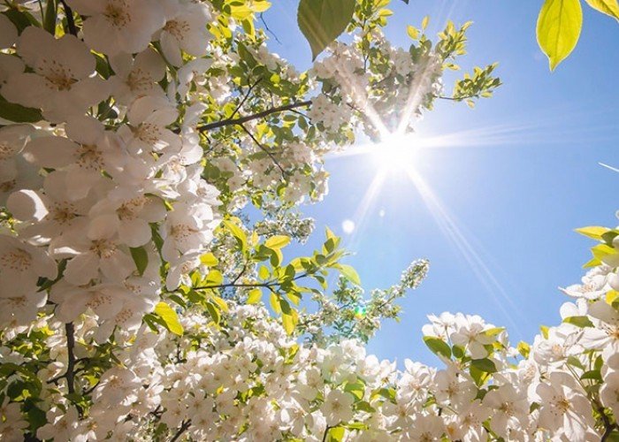 Temperatur 42 dərəcəyədək artacaq