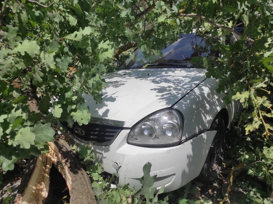 Xaçmazda ağac maşının üstünə aşdı