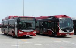 Bakıda 55 avtobus gecikir 