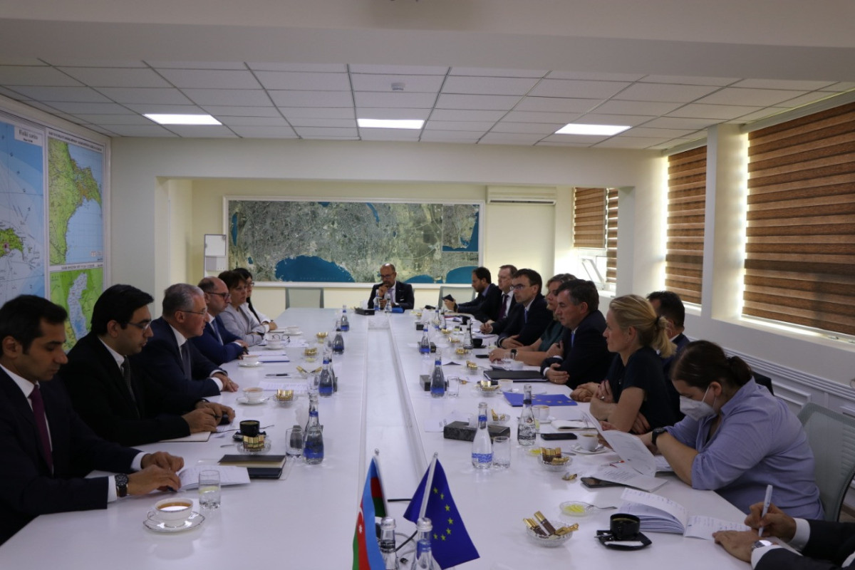 Nazir Avropa Parlamentinin Xarici Əlaqələr Komitəsinin sədri ilə görüşüb