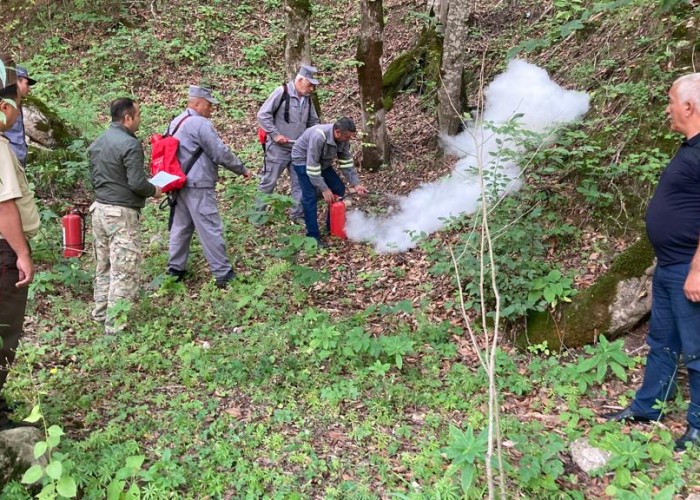 Meşələrin yanğından mühafizəsi ilə bağlı təlim keçirilib