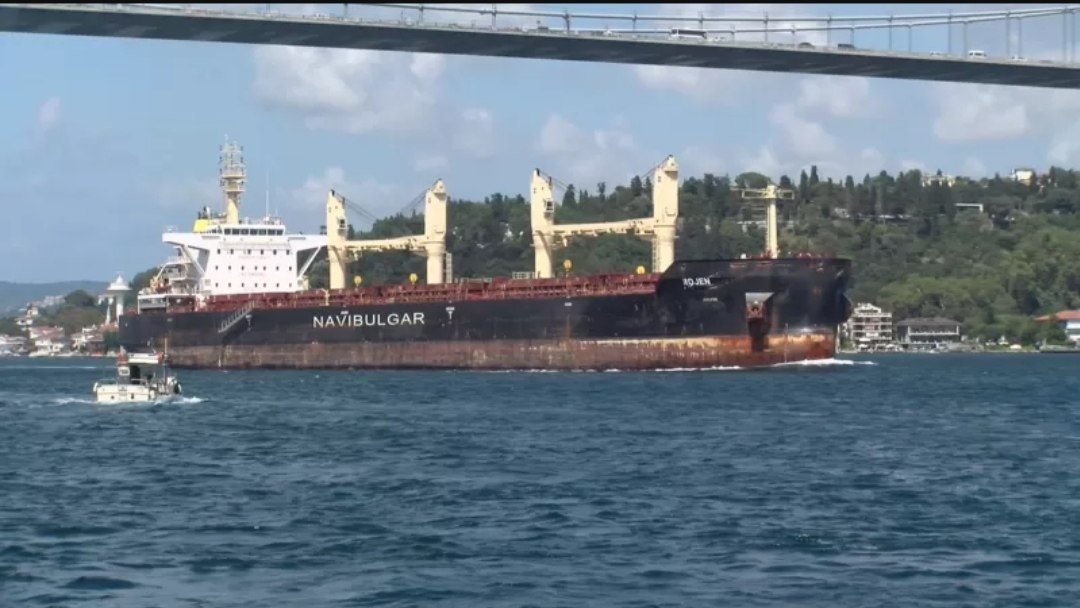 Ukraynanın iki gəmisi yoxlamadan keçdi