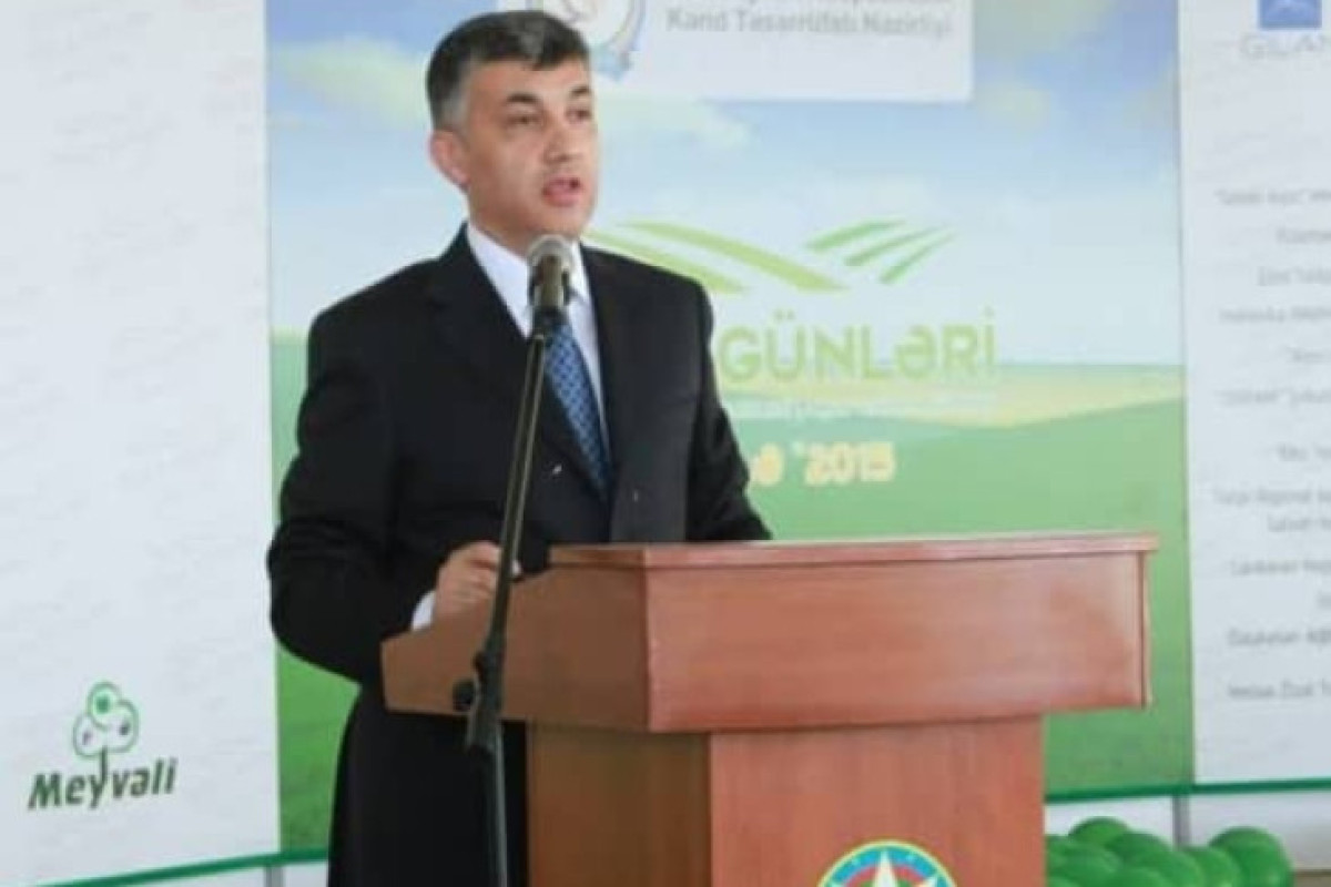 “Gömrük işi” - Əbülfəz Məlikov həbs olundu