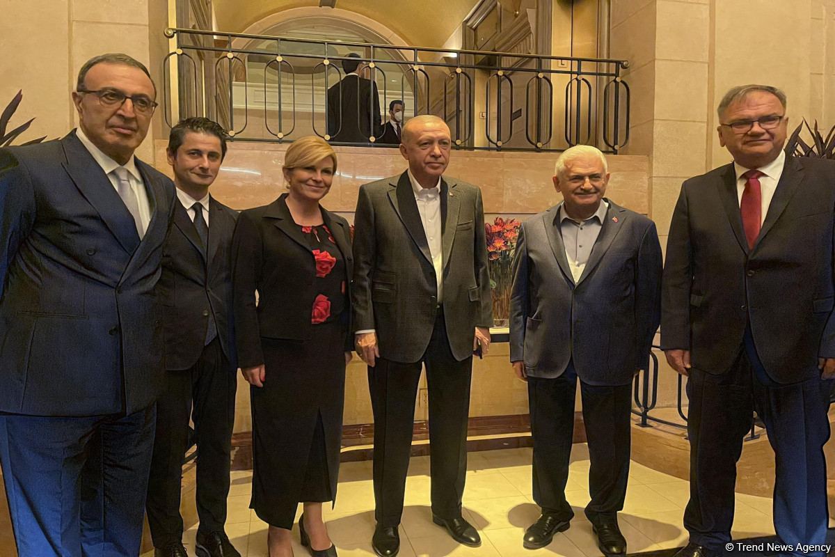 Binəli Yıldırım Nizami Gəncəvi Mərkəzinə üzv oldu