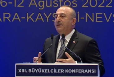 Ankarada Səfirlər Konfransı başa çatdı