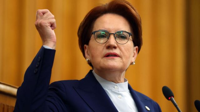 Xanım siyasətçini it dişlədi 