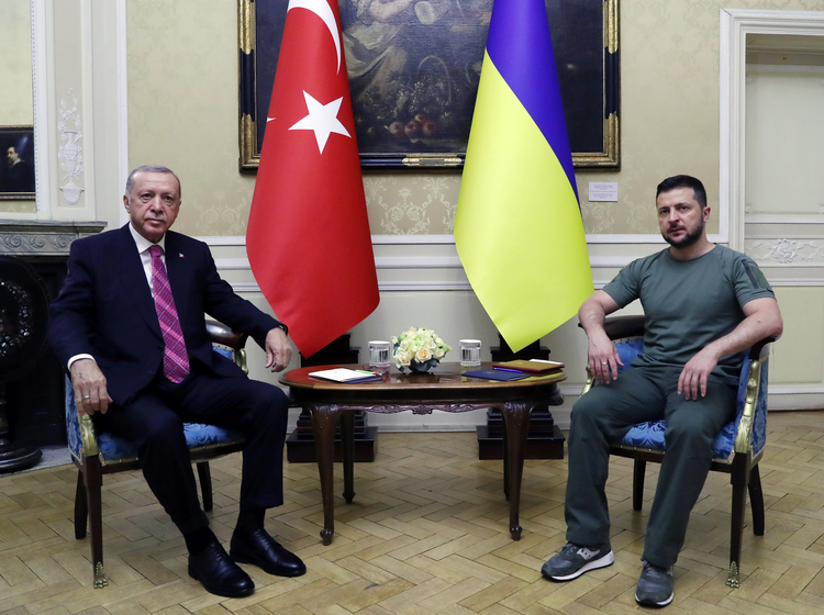 Zelenski Ərdoğanla nələri müzakirə etdiyini AÇIQLADI