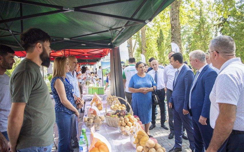 İsmayıllıda toxum sərgi-satış yarmarkası keçirilib