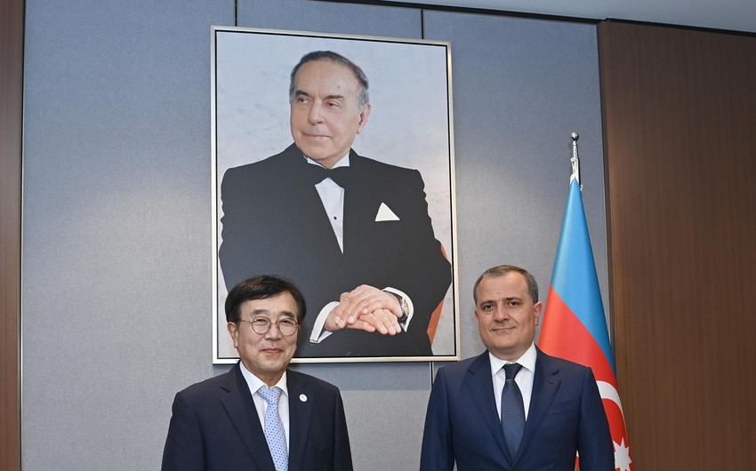 Nazir Koreya rəsmisinə Qarabağdakı işlərdən danışdı