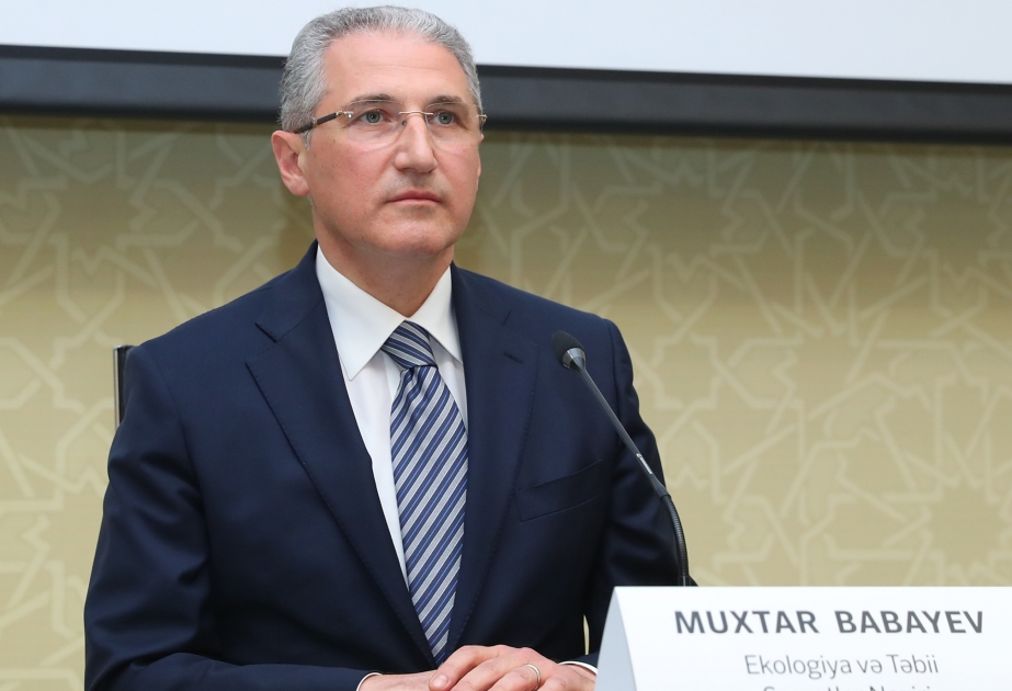 Nazir yanan ərazilərə gedərək tapşırıqlar verib