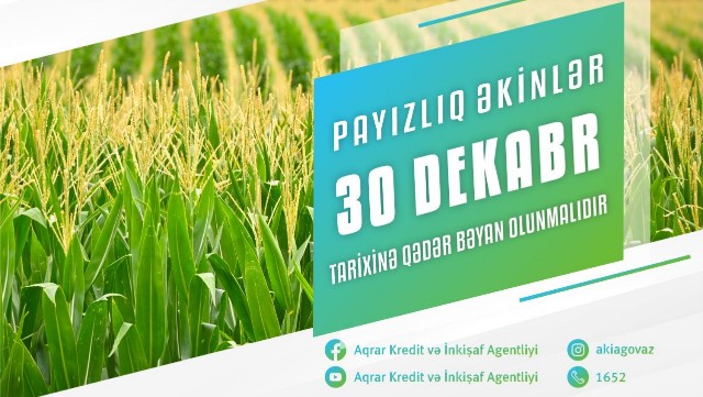 Payızlıq əkin bəyanlarının qəbuluna başlanıldı