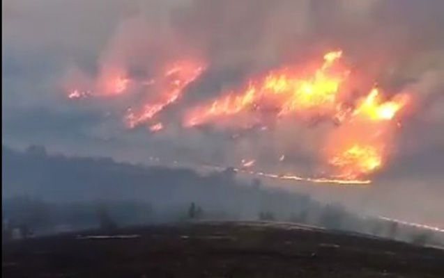 Zaqatalada meşə yanğınları davam edir - VİDEO