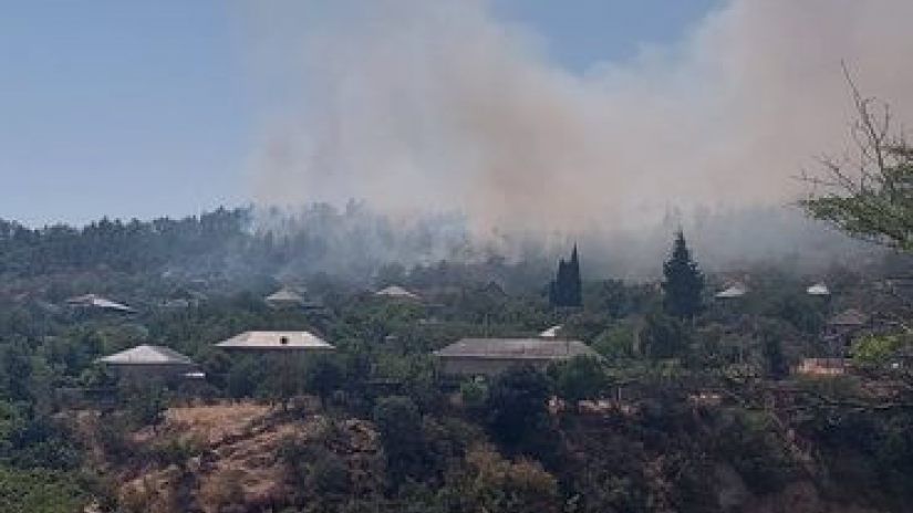 Gürcüstanda daha bir meşə yanır