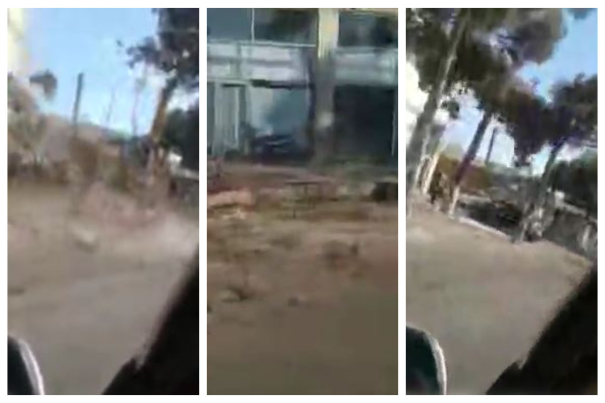 Buzovnada ağacların kəsilməsi faktı araşdırıldı