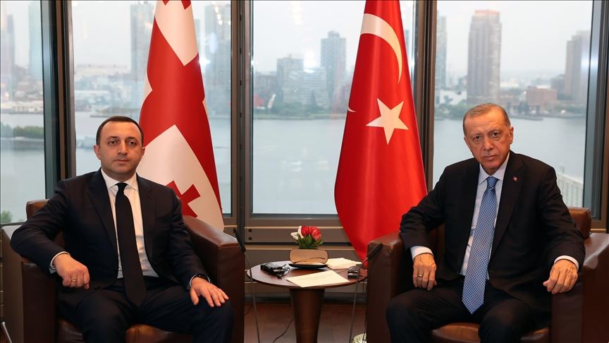Ərdoğan Qaribaşvilini qəbul etdi