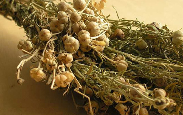 Üzərliyin bilinməyən faydaları