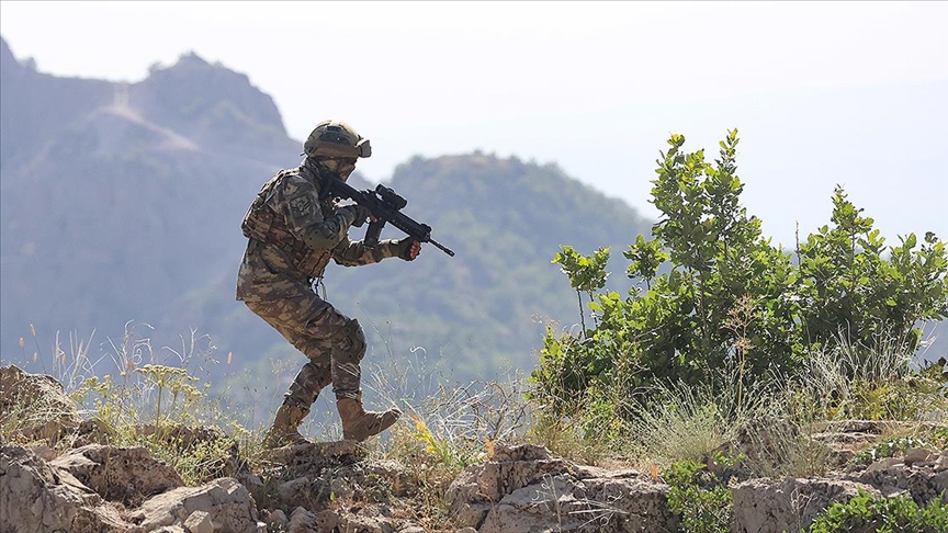 Suriyada daha 2 terrorçu zərərsizləşdirildi 