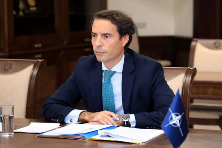 NATO-nun xüsusi nümayəndəsi Gürcüstana gəldi