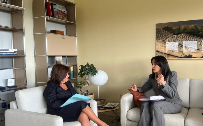 Ombudsman AŞPA Baş katibinə mina xəritələrindən danışdı 