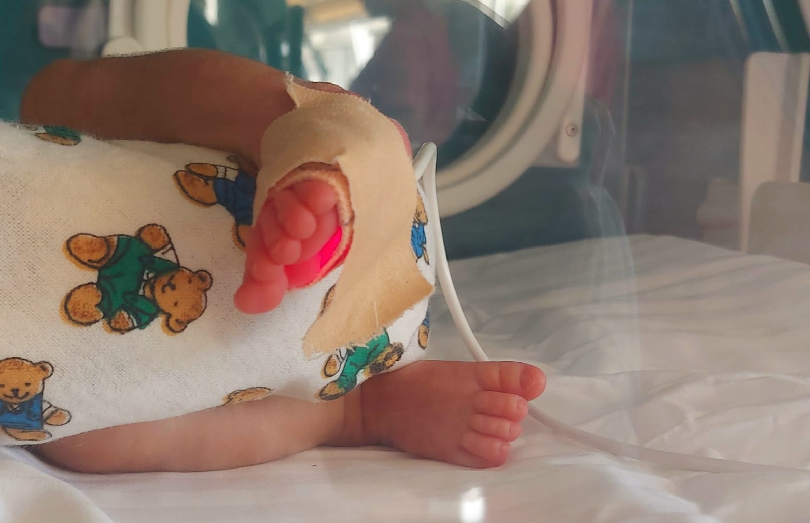 Quba Perinatal Mərkəzdə 10 uşaq ölüb