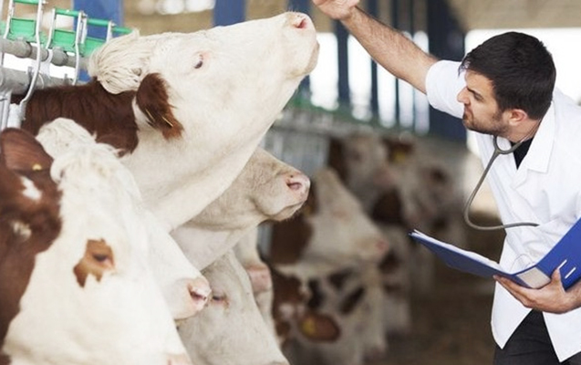 Baytarlıq arayışı ilə bağlı rüsum ləğv edildi