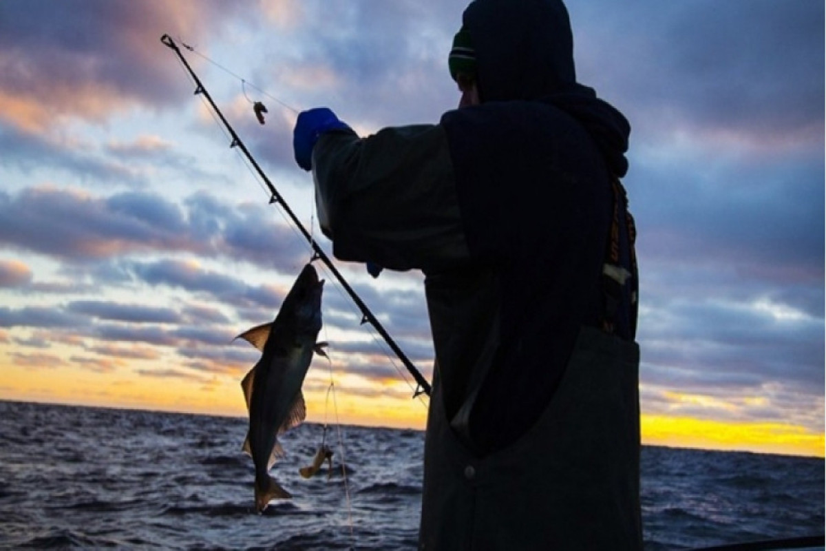 Qanunsuz balıq ovlayanlar cəzalandırıldı