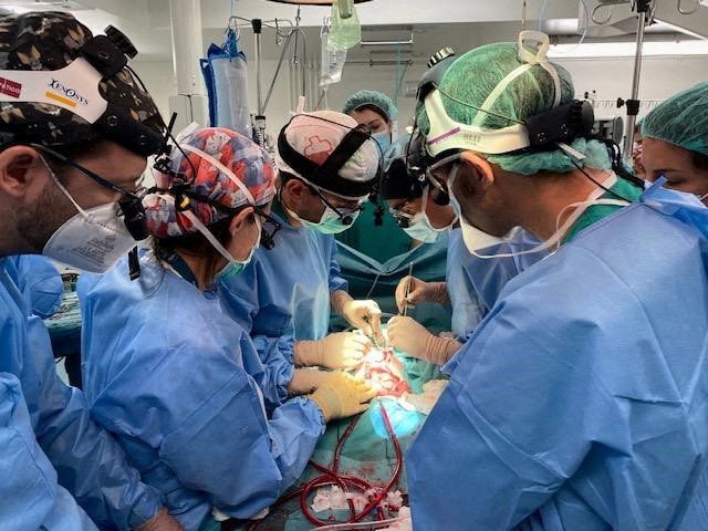Orqan transplantasiyası ilə bağlı dünyada bir İLK