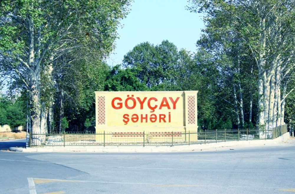 Prezident Göyçaya icra başçısı TƏYİN ETDİ