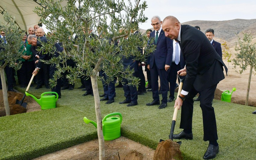 Liderlər Cəbrayılda ağac əkiblər
