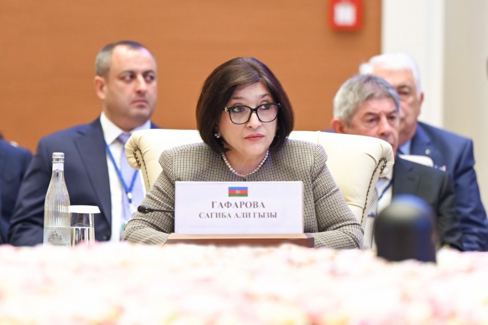 Sahibə Qafarova MDB PA-nın iclasında iştirak edib - FOTO