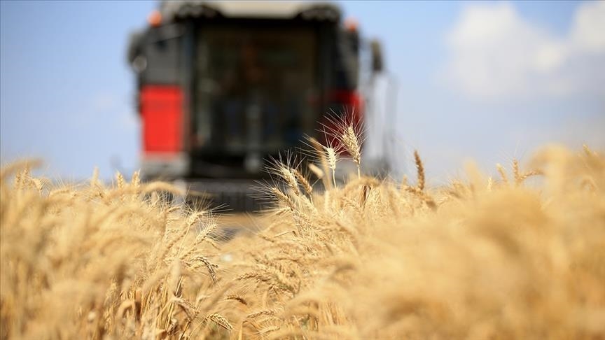 BMT Rusiyanın taxıl sazişi ilə bağlı qərarına münasibət bildirdi 