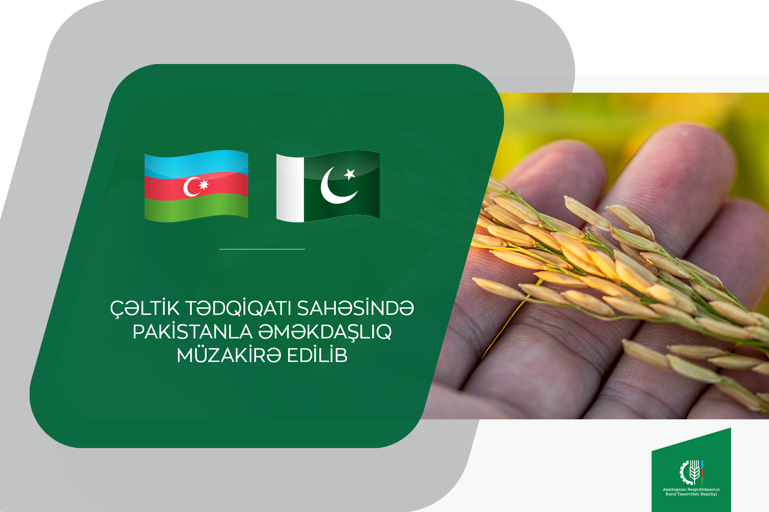Pakistanla bu sahədə əməkdaşlıq müzakirə edilib