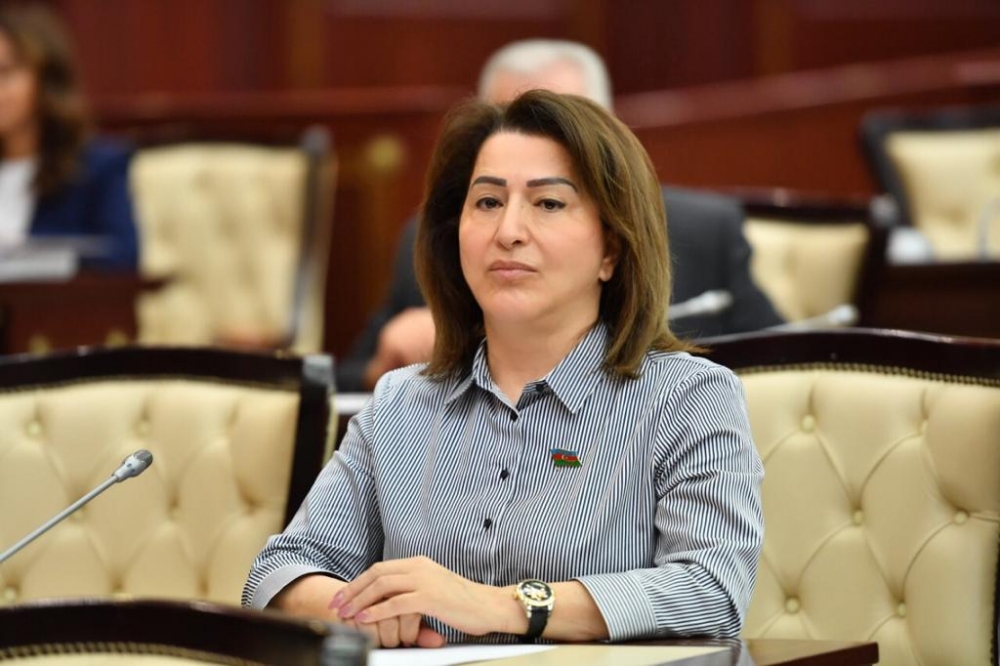 “Uşaqların cinsi istismar təhlükəsi var” - Deputat