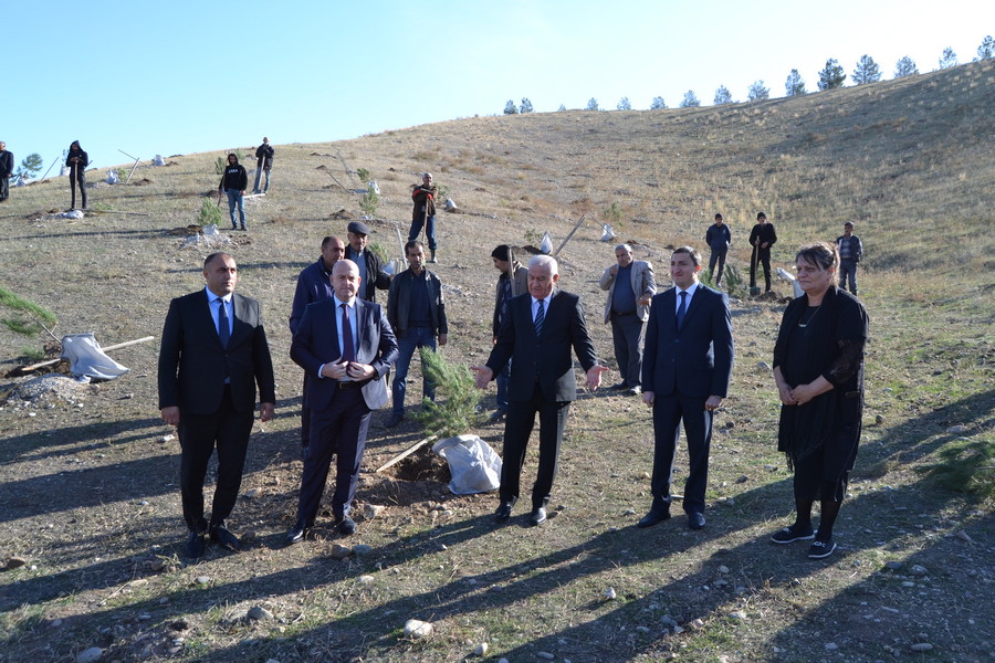 Füzulidə ağacəkmə aksiyası keçirilib - FOTOLAR