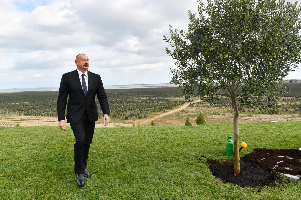 Minlərlə iş yeri yaratmaq planlarımız var - Prezident