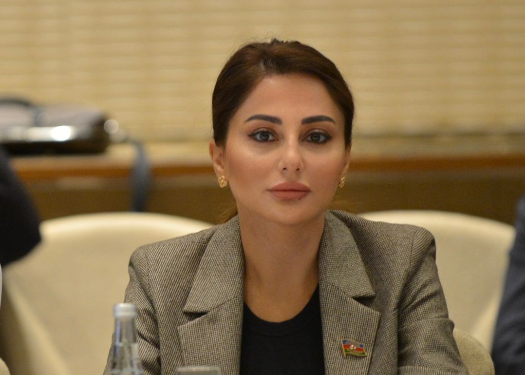 Zəfər Günümüz - Deputat yazır