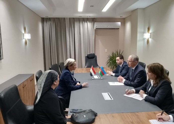 Muxtar Babayev iqlim konfransında iştirak edir