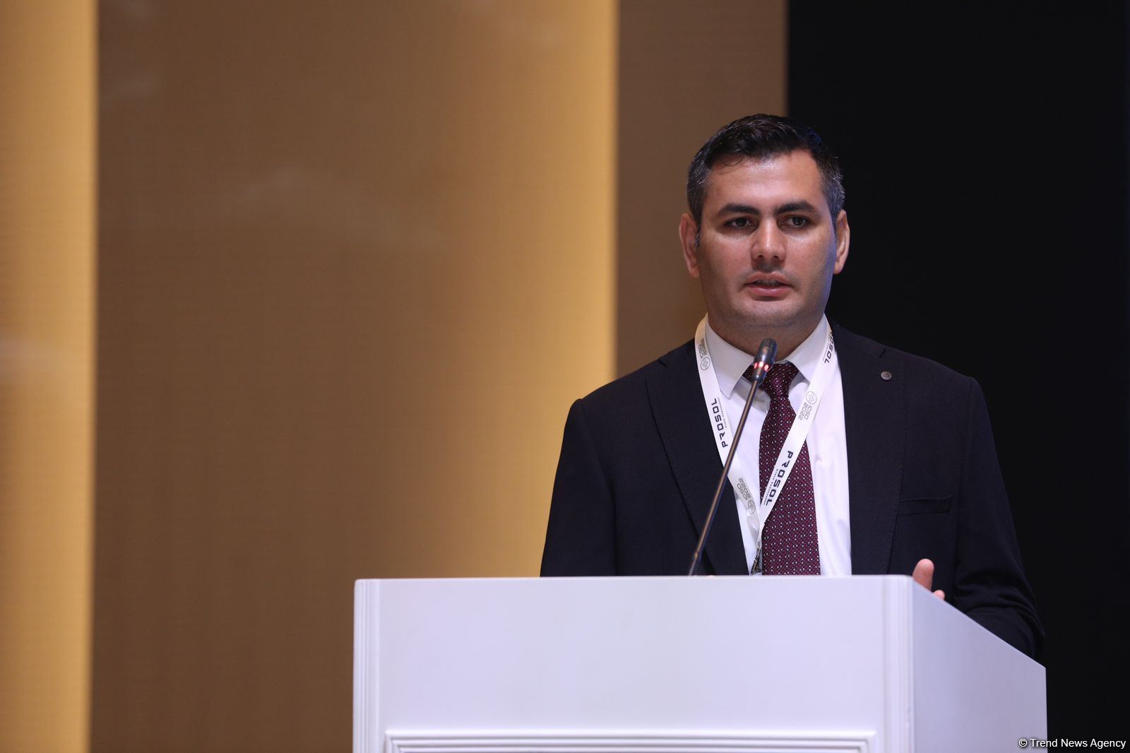Azərbaycanlı məmur beynəlxalq təşkilata üzv seçildi