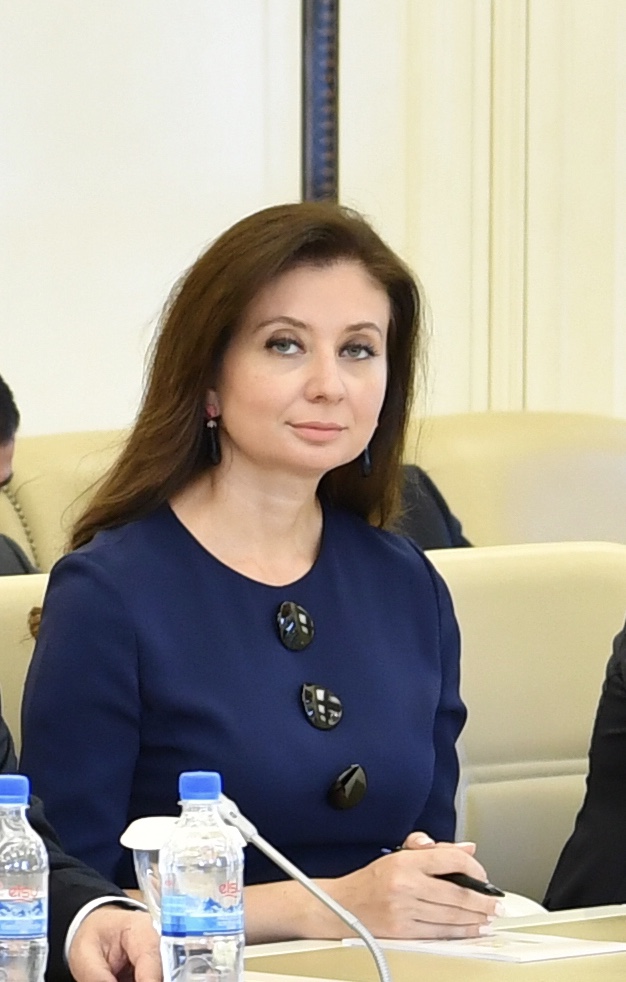 Bu qələbə dünya hərb tarixinə qızıl hərflərlə yazıldı