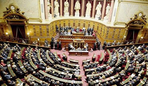 Fransa Senatının qətnaməsi nələri dəyişəcək?