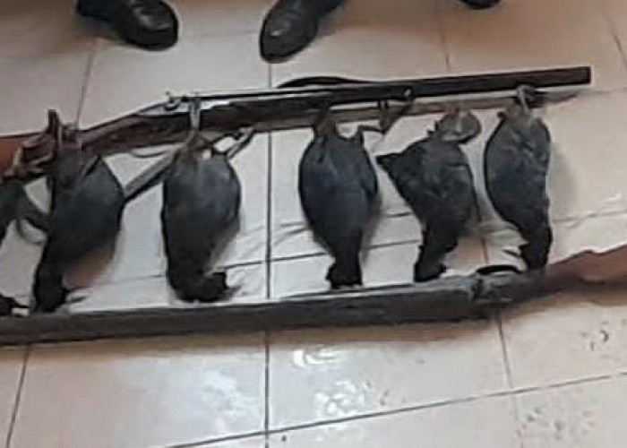 Qanunsuz ov edənlər saxlanıldı