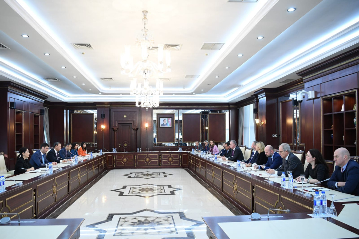 Deputatlar xüsusi elçi ilə görüşdülər 
