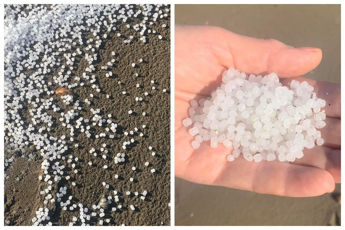 Dəniz sahilində çoxlu sayda plastik aşkarlanıb
