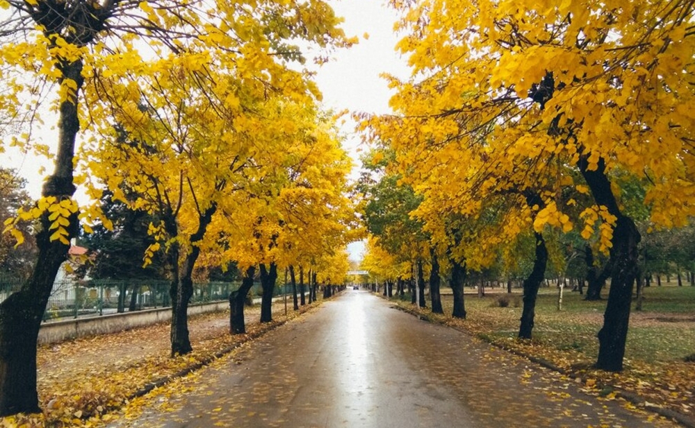 Bu ay temperatur yüksək olub
