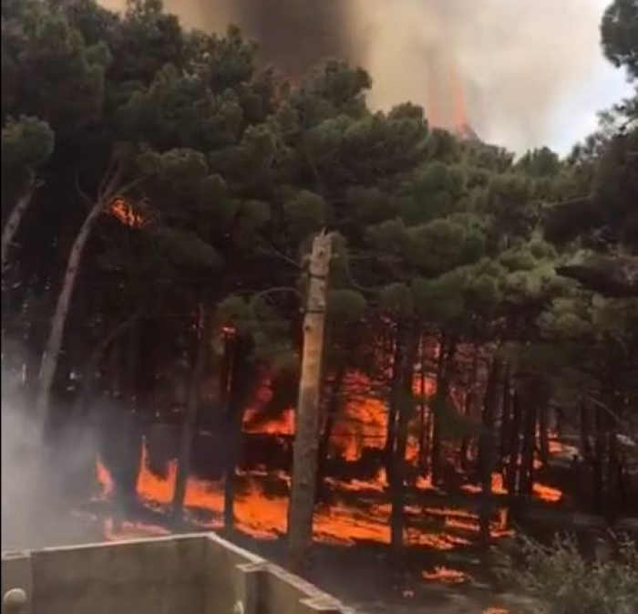 Bakıda yanğın ağaclıq əraziyə keçib
