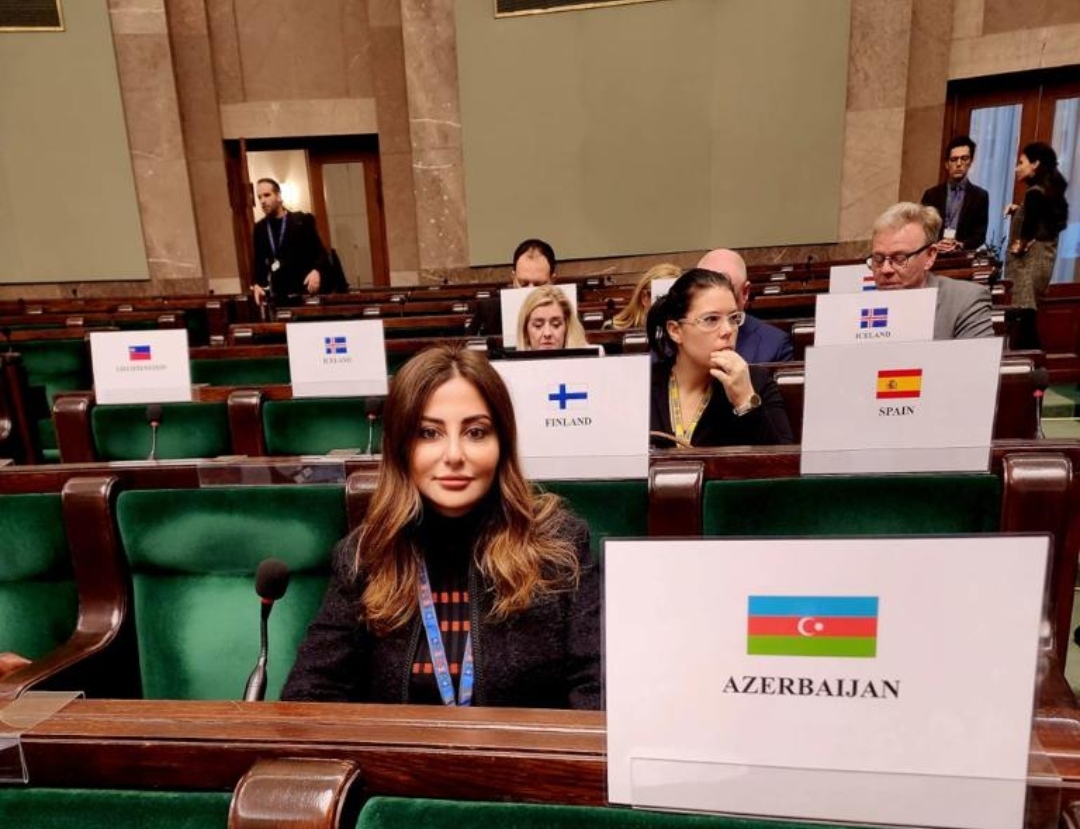 Deputat ATƏT-də Ermənistanın cinayətlərindən danışdı 