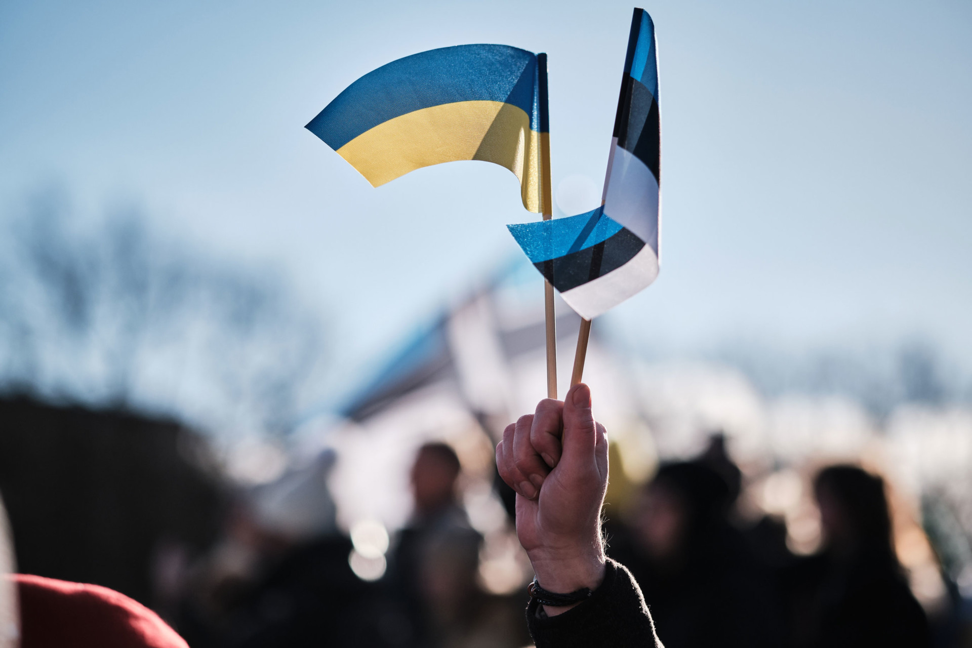 Estoniya ÜDM-nin 1%-ni Ukraynaya xərcləyib 