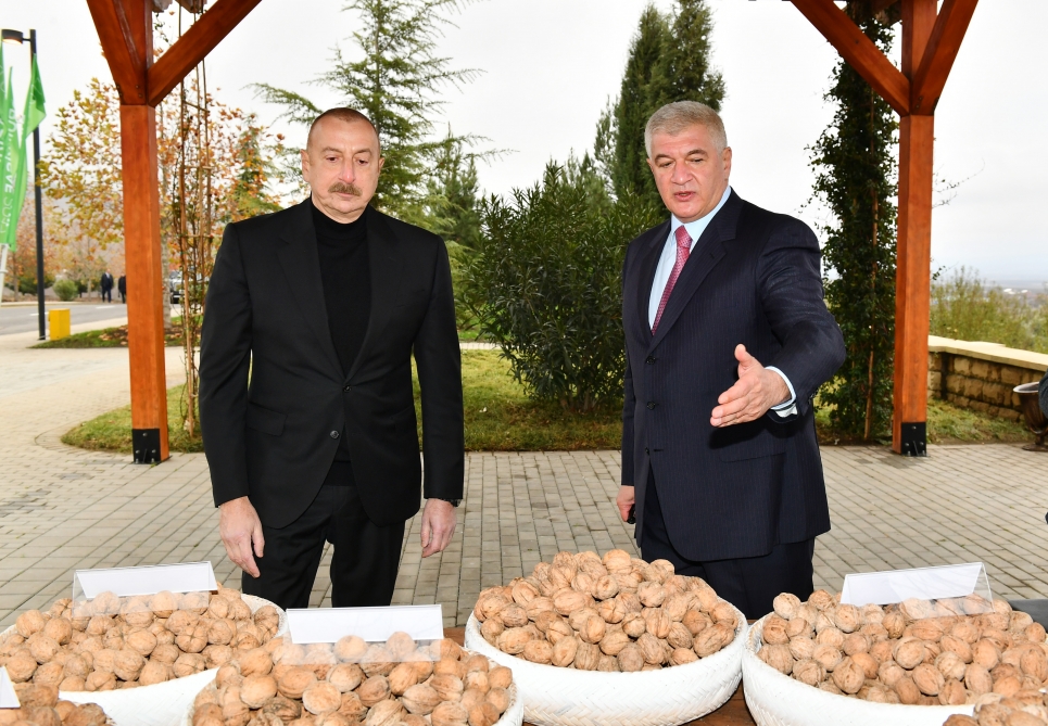 Prezident Aqroparkda yaradılan şəraitlə tanış oldu - FOTOLAR