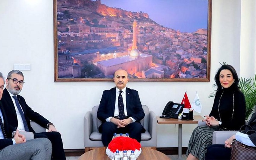 Ombudsman Türkiyədə səfərdədir